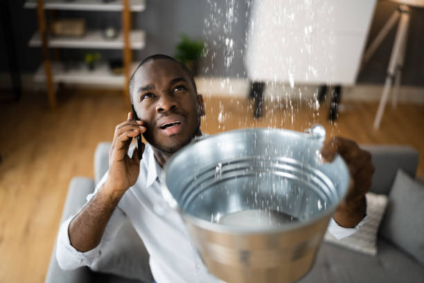 Best Water damage restoration near me  in Welsh, LA