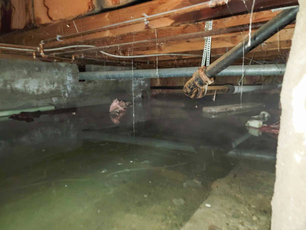 Best Commercial water damage restoration  in Welsh, LA