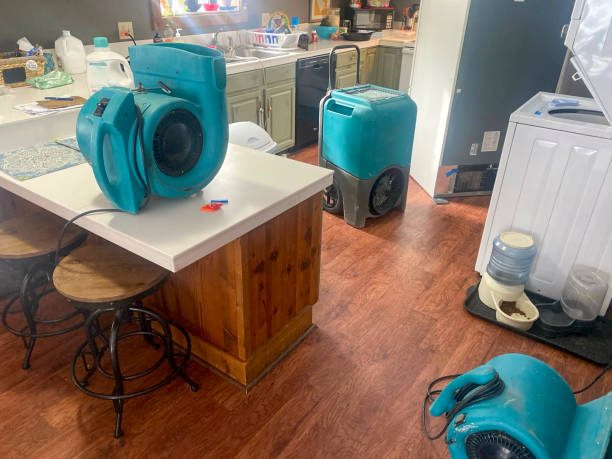 Best Residential water damage restoration  in Welsh, LA