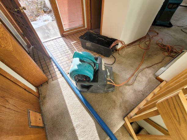 Carpet water damage restoration in LA