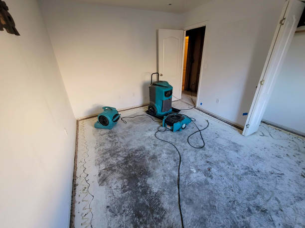 Best Emergency water damage restoration  in Welsh, LA
