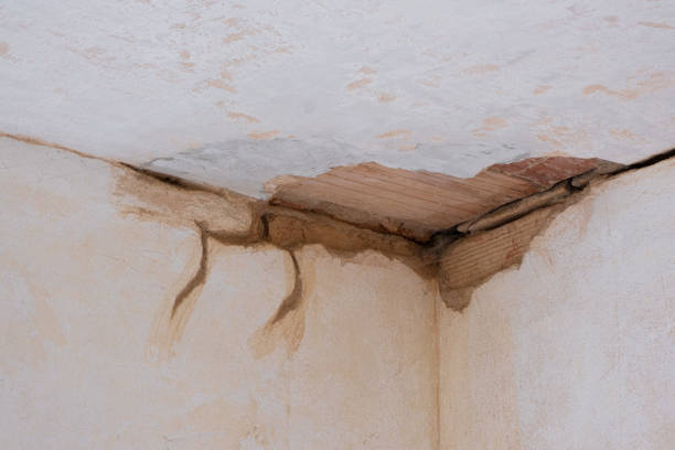 Best Professional water damage repair  in Welsh, LA