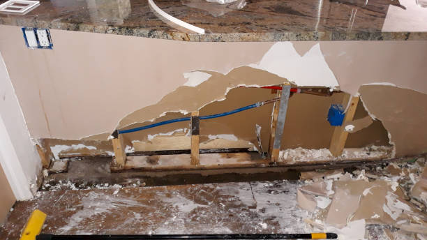 Best Flood damage cleanup  in Welsh, LA