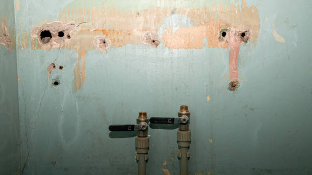 Local water damage restoration in LA