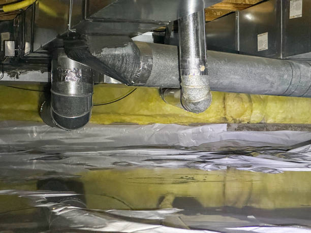 Best Water damage restoration near me  in Welsh, LA