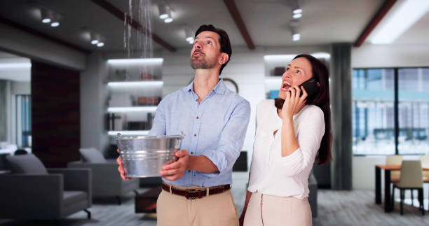 Best Local water damage restoration  in Welsh, LA