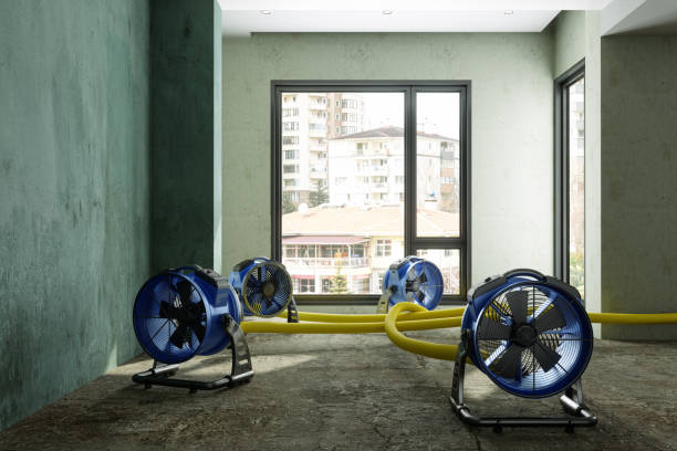 Best Water damage contractors near me  in Welsh, LA