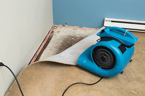Best Water damage cleanup near me  in Welsh, LA